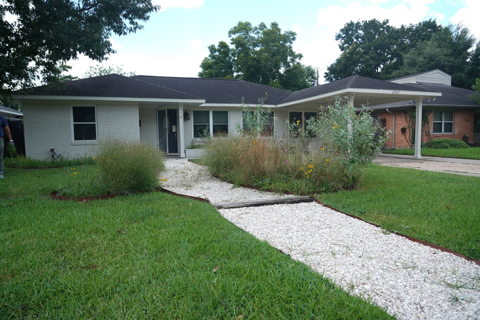 A one story Houston house with a gravel path to the door, green lawn on one side and young native beds on the other